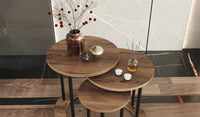DEMRE SATSBORD bild 2